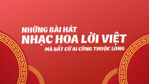 nhạc hoa lời việt hot tiktok