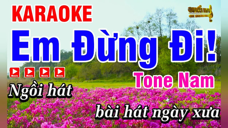 karaoke nhạc hoa lời việt