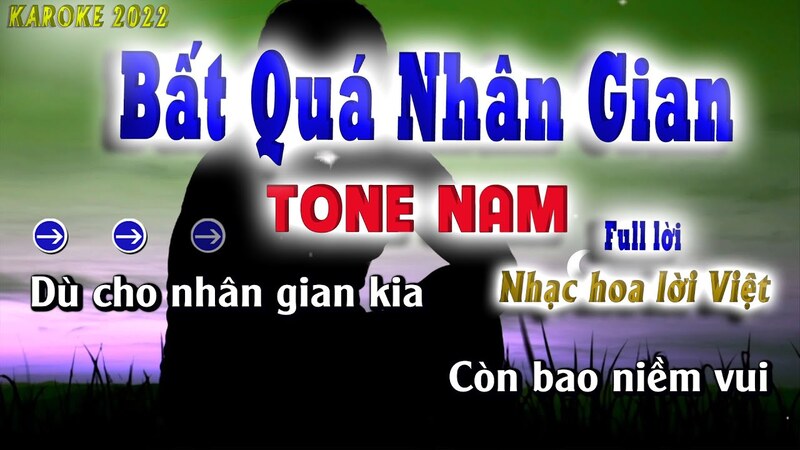 karaoke nhạc hoa lời việt tone nam