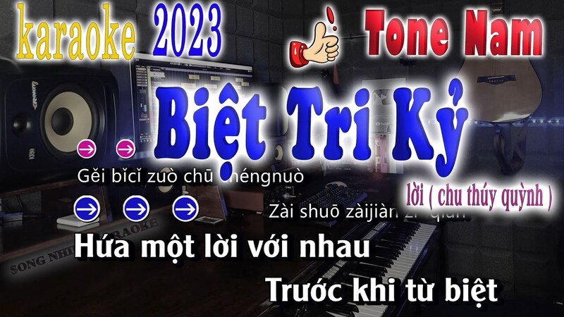 karaoke nhạc hoa lời việt tone nam